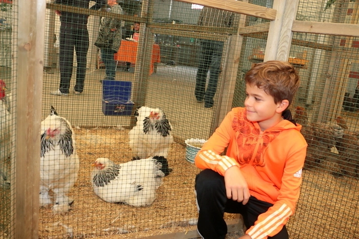 Viel Spaß mit den Fotos der beiden Kleintierausstellungen!