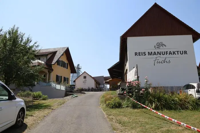 Im Jahr 2021 wurde die Reismanufaktur gegründet, in der pro Jahr etwa 150 Tonnen SteireReis produziert werden