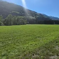 Für den geplanten Schotterabbau auf dieser Fläche wurden Für und Wider diskutiert