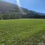 Eine Wiese neben einer Straße