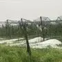 Ein Unwetter mit Hagel zog am Sonntag über die Bezirke Weiz und Hartberg-Fürstenfeld. Besonders betroffen waren die Obstbau-Kulturen