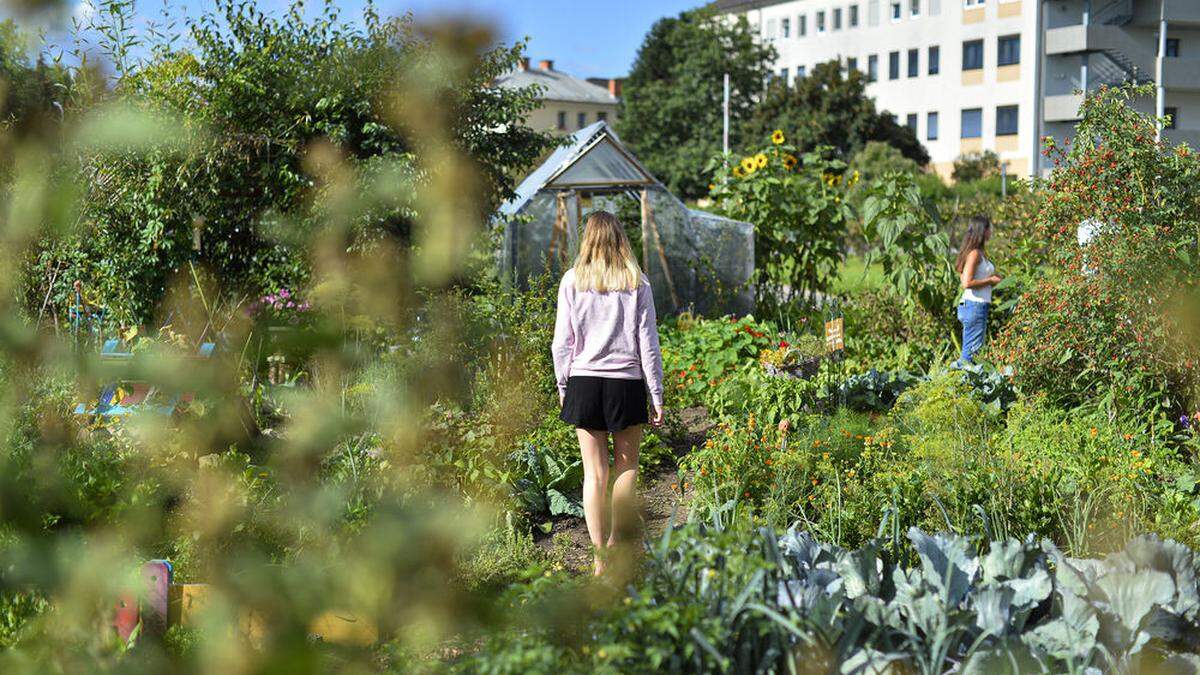 Der Viva-Garten befindet sich auf dem Areal der Elisabethinen in Klagenfurt