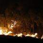 Waldbrand in Sizilien: Aufnahme vom 17. Juli 