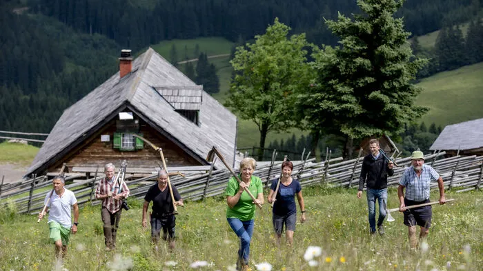 Auf der Tyrnauer Alm laden Almbauern wie auf weiteren 19 steirischen Almen Freiwillige ein, am Samstag beim Schwenden zu helfen.