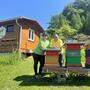 Judit und Karl Klaindl kümmern sich in Sinabelkirchen um 48 Bienenvölker 