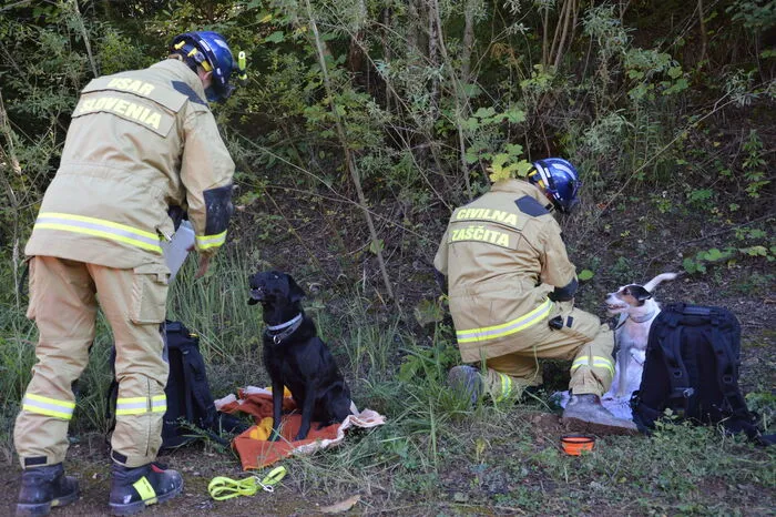 Auch geschulte Hunde helfen bei der Bergung und üben für den Ernstfall.