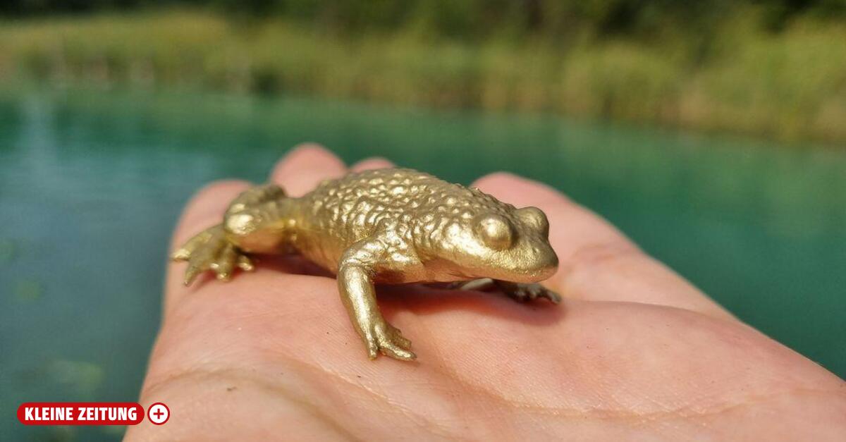 Naturschutzpreis: Warum eine goldene Unke nach Kappel am Krappfeld hüpfte