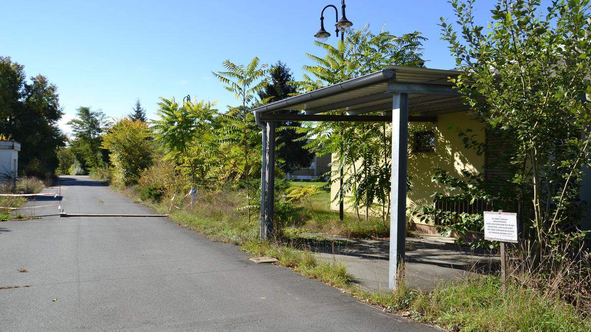 15 Jahre nach der Schließung hat die Natur das Kommando in der ehemaligen Kaserne Leibnitz übernommen