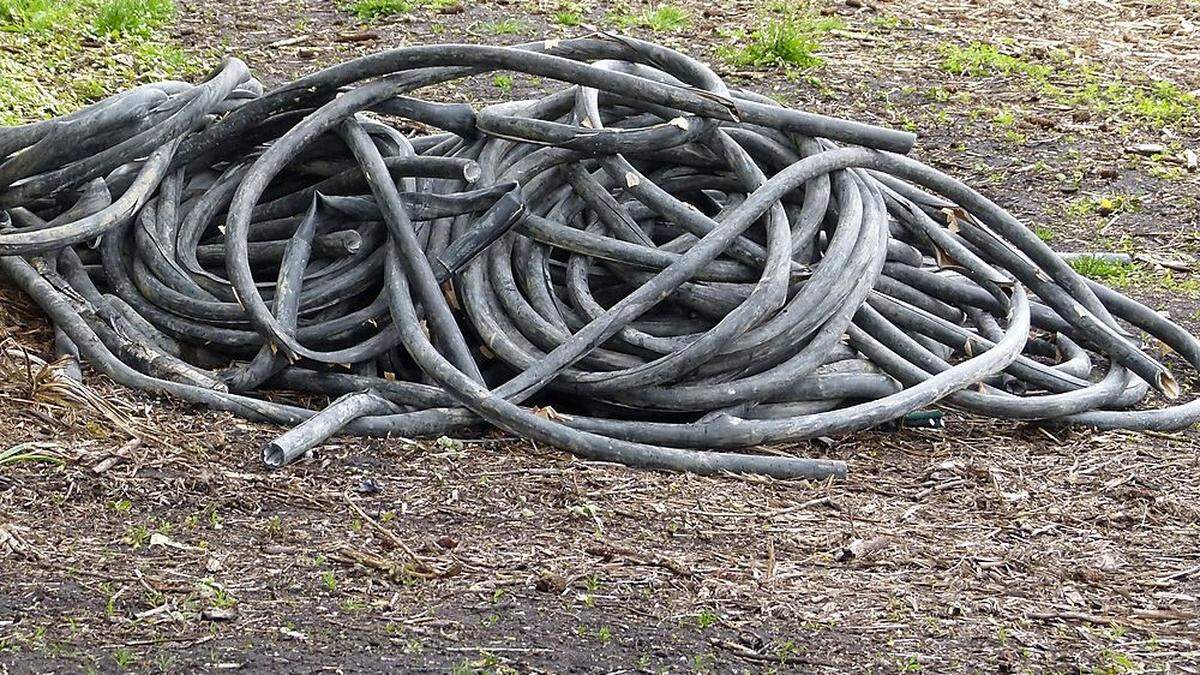 Ein fünfpoliges Kupferkabel (Symbolbild) haben die Diebe gestohlen