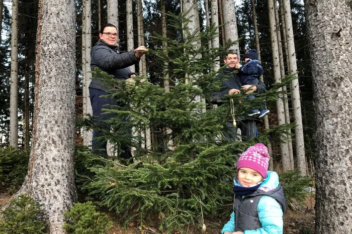 Familie Baldauf schmückt einen Baum im Wald mit Christbaumschmuck.