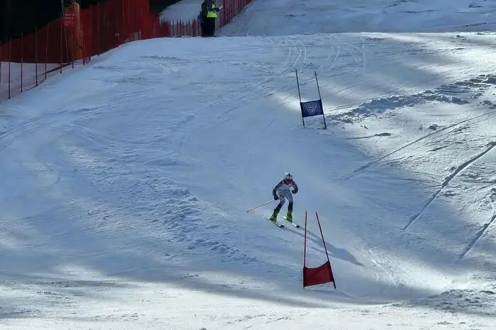 Als Veranstalter fungierte der Pflichtschulcluster Bildungszentrum Obdach, der durch den Skiclub Obdach, die Gemeinde Obdach und die Bergrettung Zeltweg unterstützt wurde.