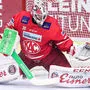 Ein Abgang von Goalie Lars Haugen wird immer wahrscheinlicher. Möglicher Ersatz ist der Finne Jussi Rynnäs 