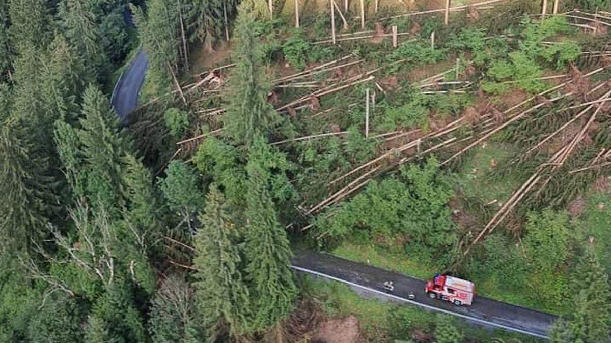 Überall in den Wäldern liegen umgestürzte Bäume, viele davon zerstörten Stromleitungen. Zu diesen kämpft man sich vor