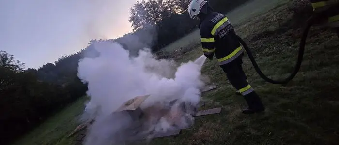 Die Feuerwehr rückte mit 12 Kräften aus