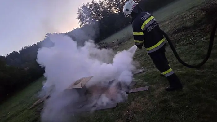 Die Feuerwehr rückte mit 12 Kräften aus