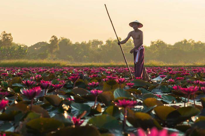 Idylle im ländlichen Laos