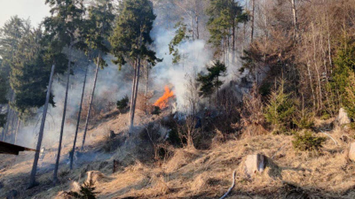 Die Hitzwelle sorgt für Waldbrandgefahr