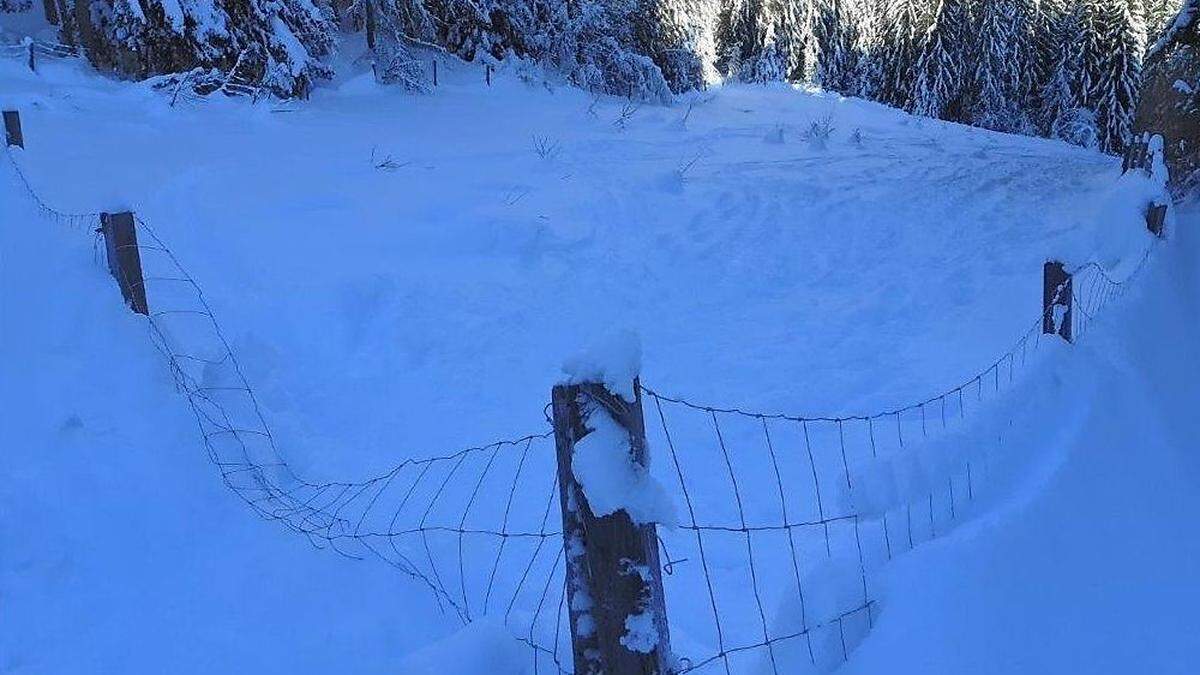 Zäune werden oft einfach ignoriert