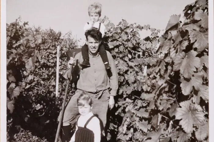 Gregor Mörath senior bei der Weinlese am Hohenberg mit seinen Kindern Gregor und Andrea im Jahr 1967.