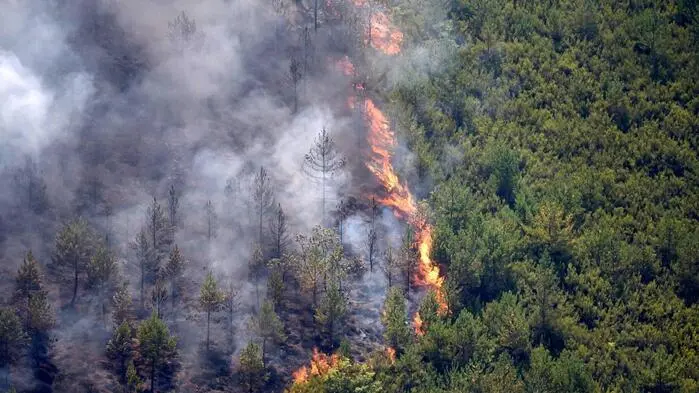 Das Feuer breitete sich in einem unübersichtlichen Areal aus
