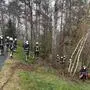 Erneut ereignete sich am Samstagvormittag ein Forstunfall im Bezirk Hartberg-Fürstenfeld