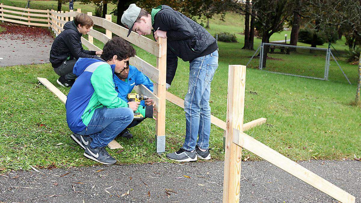 Einige der Jugendlichen bauten den Zaun für ein Schafsgehege