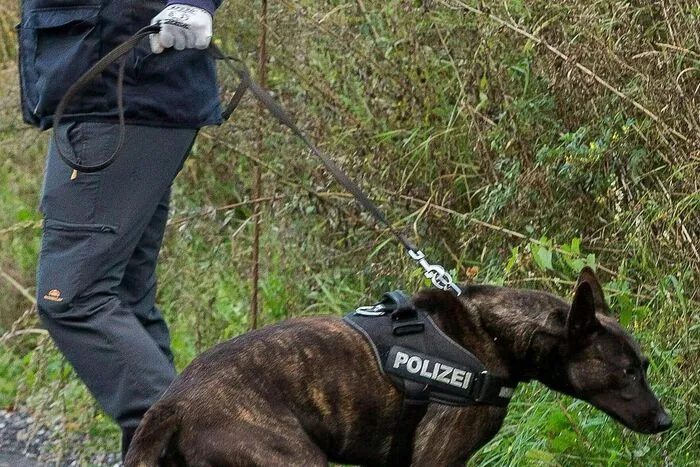 Auch Polizeihunde kamen bei der Suchaktion in der Steiermark zum Einsatz