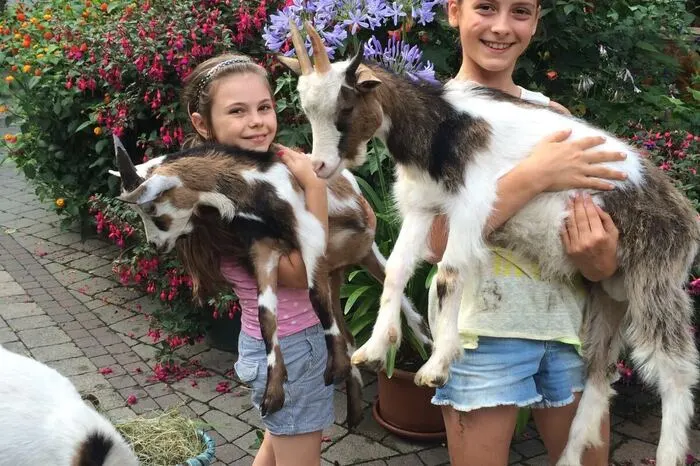 „Meine Freundin Florentina (10) aus Russland ist auf Urlaub hier und wir verbringen die Ferien gerne im Streichelzoo im Koglerauerhof Uhl“, schreibt uns Magdalena (7) aus Rohrbach