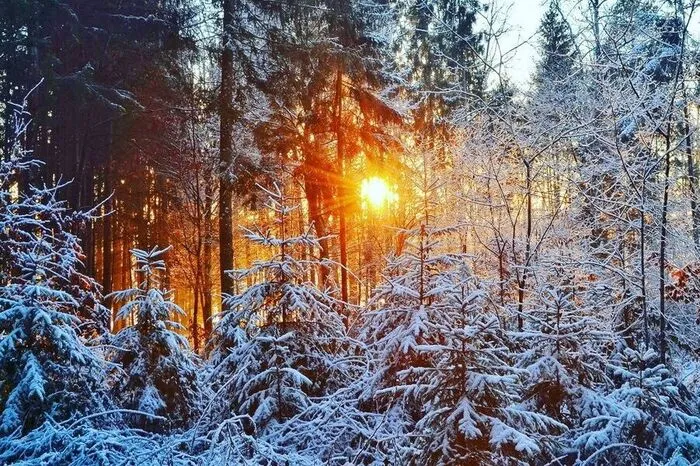 Dieses stimmungsvolle Bild hat unser Leser Hannes Pendl in Hainersdorf im steirischen Thermenland aufgenommen.