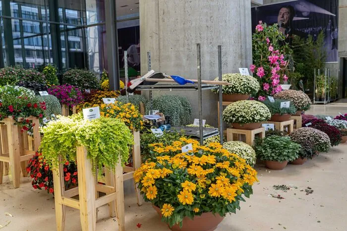 Ab 9.30 Uhr starten die Vorträge. Höhepunkt ist die Preisverleihung „Flora 19“ ab 14.30 Uhr.