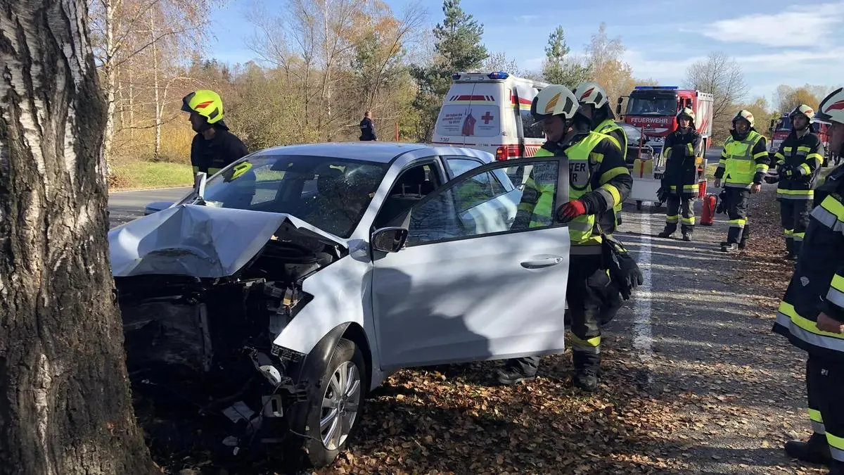 Lenker prallte mit Pkw frontal gegen Baum