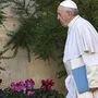 Papst Franziskus erhielt den Bericht des Opferverbandes