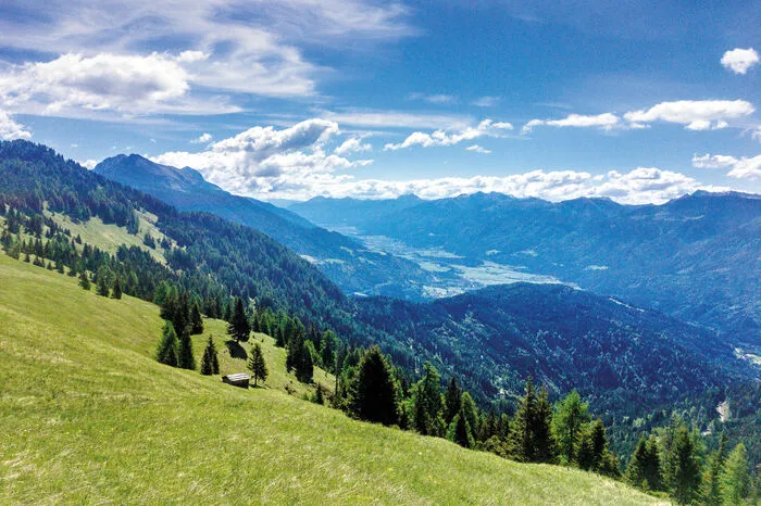 Der Blumenberg Mussen schickt Kärnten ins Rennen um den schönsten Platz Österreichs. Das Almengebiet westlich von Kötschach-Mauthen hat sich in der Kärntner Ausscheidung gegen Kleinode am Wörthersee sowie die „Flößer an der Drau“ bei Lavamünd durchgesetzt.