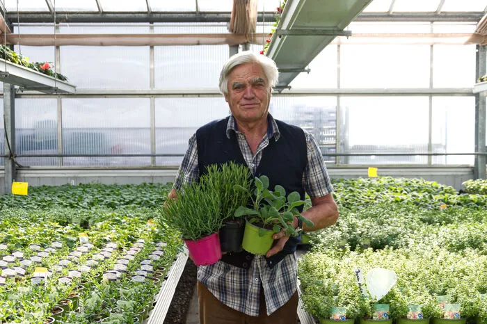 Roland Seeber, Gärtnerei Seeber, Lienz: Besonders hitzebeständig sind die mediterranen Kräuter: Ob Rosmarin, Thymian, Oregano, Majoran, Salbei oder Lavendel – sie alle mögen gerne Temperaturen über 30 Grad. Beim Gießen gibt es keine fixe Regel, da darf man ruhig auf den eigenen grünen Daumen vertrauen. Wichtig ist nur: Staunässe vermeiden. Besser sie sind einmal etwas zu trocken als sie bekommen nasse Füße. Auch beim perfekten Standort sind sie nicht so wählerisch: Ob Garten oder Balkon, pralle Sonne oder Halbschatten – das ist kein Problem für diese Kräuter.