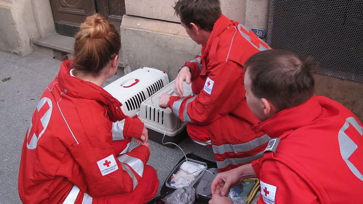 Frischer Sauerstoff für die KIatzen