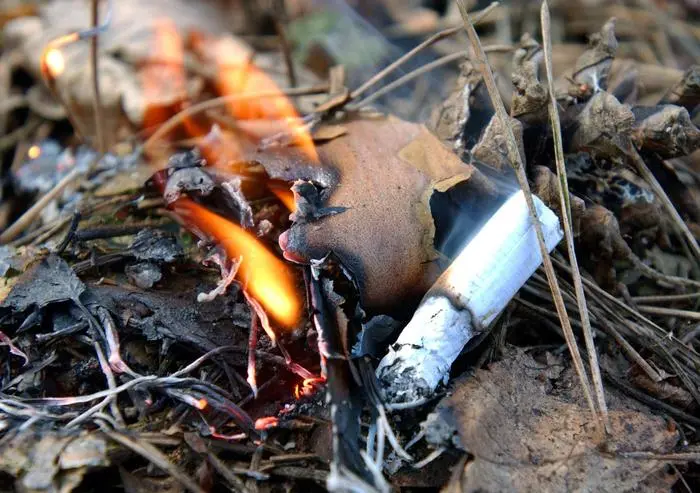 gestellten Szene - Waldbrand Waldbrandgefahr    VOTAVA