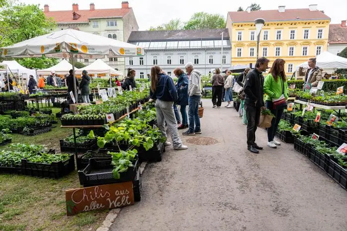 Auf der Universitätswiese gaben Nutzpflanzen wie Gemüsejungpflanzen, Bio-Saatgut oder Kräuter den Ton an
