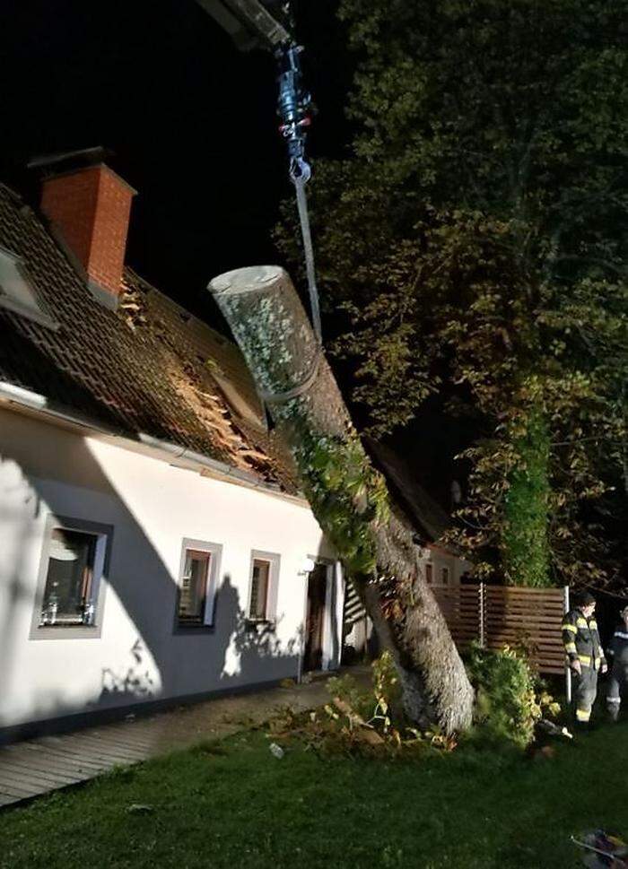 In Leutschach fiel ein Baum auf ein Hausdach