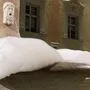 Der Brunnen im Landhaushof war von Schaum bedeckt. Der Instagram-Kanal "Klagenfurt Elite" teilte Bilder der Aktion