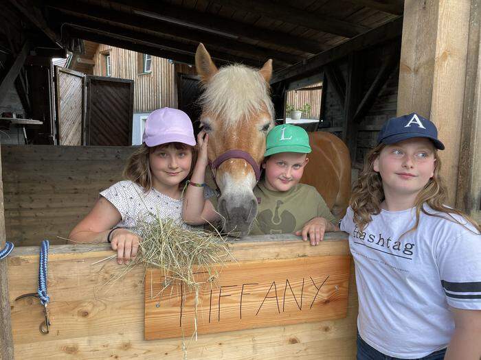 Die Zwillinge Lisa und Laurenz sowie ihre große Schwester Annalena haben viel Freude mit dem jüngsten Hofbewohner: Pferd Tiffany 