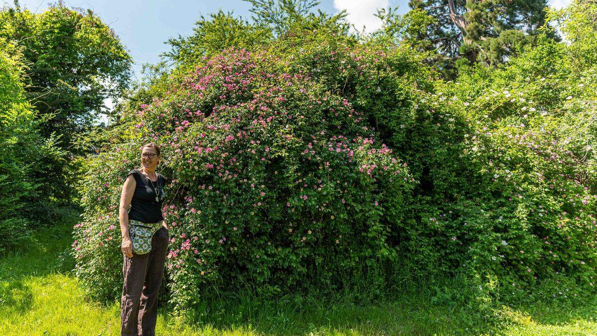 Katharina Tripold-Kotzmuth in &quot;Giovannis Garden&quot;