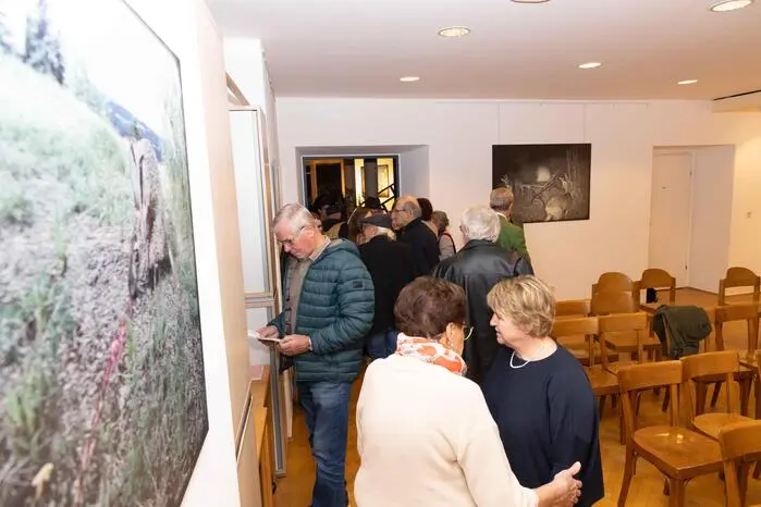 Mehr Fotos zum Durchklicken...