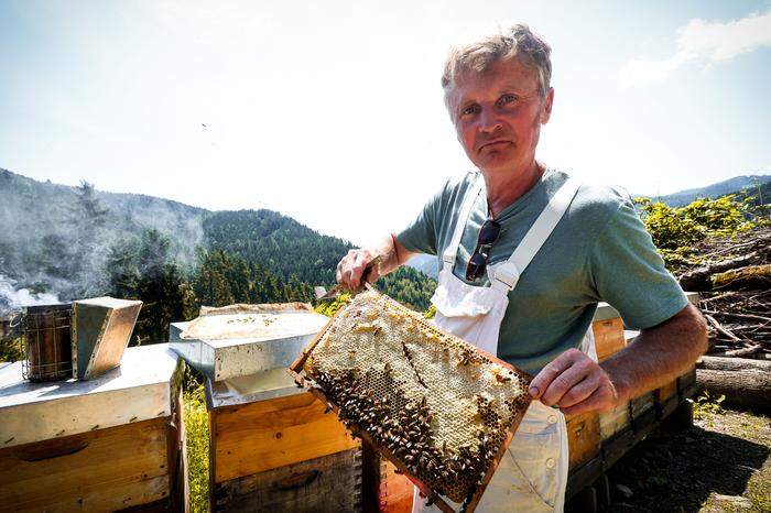 Blütenhonig stellen die Bienen aus Nektar her. Waldhonig - dem Johannes Grubers Leidenschaft gilt - wird von Läusen auf Nadelbäumen vorverdaut und somit quasi doppelt umgesetzt.