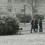 Schnee in Wien 