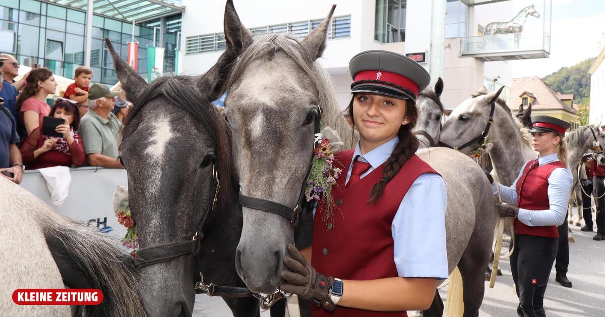 Weiße Pferde und blauer Himmel beim Lipizzaner-Almabtrieb