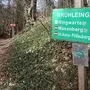 Der beliebte Wanderweg zur Hartberger Ringwarte durch die Brühlschlucht