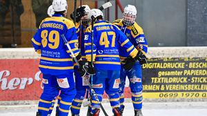 Althofen gewann das entscheidende Spiel fünf und trifft im Finale wieder auf den amtierenden Meister Steindorf