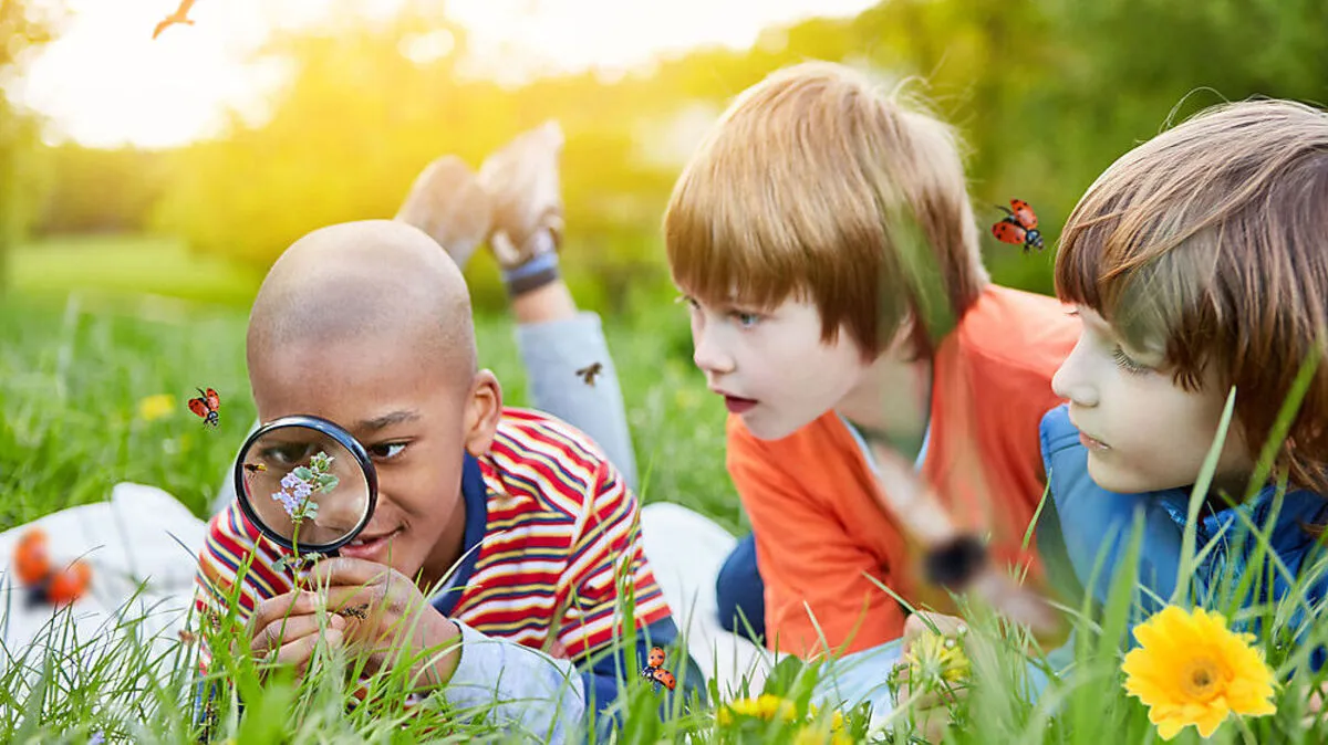 Gegen das Insektensterben: Bewusstseinsbildung bereits im Kindesalter