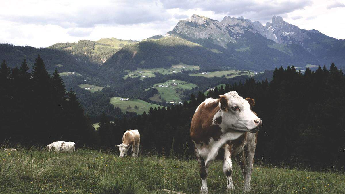 Die Landwirtschaft in Österreich sorgt für Ernährungssicherheit und Landschaftspflege