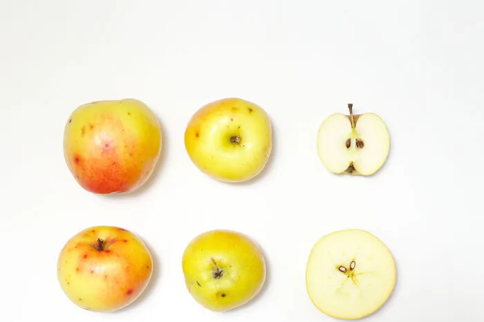 Steirischer Maschanzker: Uralte Sorte (gezüchtet um 1800); Apfel wird wegen der langen Haltbarkeit geschätzt. Spätreif, daher „Eisapfel“ genannt. Wieder sehr beliebt für Most, Schnaps und Bratäpfel.